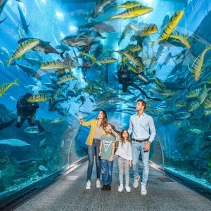 Dubai Underwater Zoo