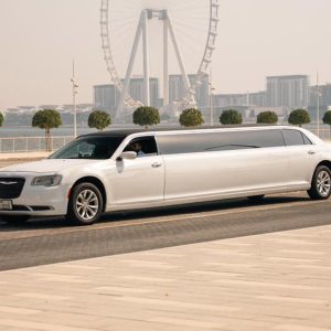 dubai limousine tour